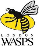 Wasps RFC