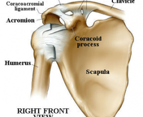AC Joint Shoulder Injuries 