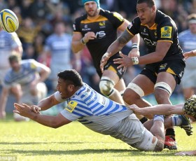 Saracens Take The Sting Out Of Wasps