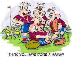 Rugby Cartoonist Wanted