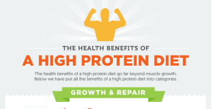 a high protein diet